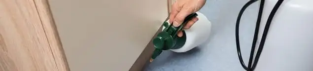 Bed bug exterminator treating baseboards and cracks with targeted spray in Bakersfield, CA