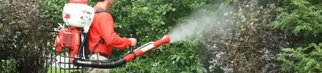 Mosquito control technician fogging shrubs and landscaping for mosquito treatment in Bakersfield, CA
