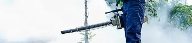 Pest control technician fogging an outdoor area for insect control in Bakersfield, CA