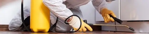 Roach exterminator treating cracks and crevices along kitchen baseboards in Bakersfield, CA