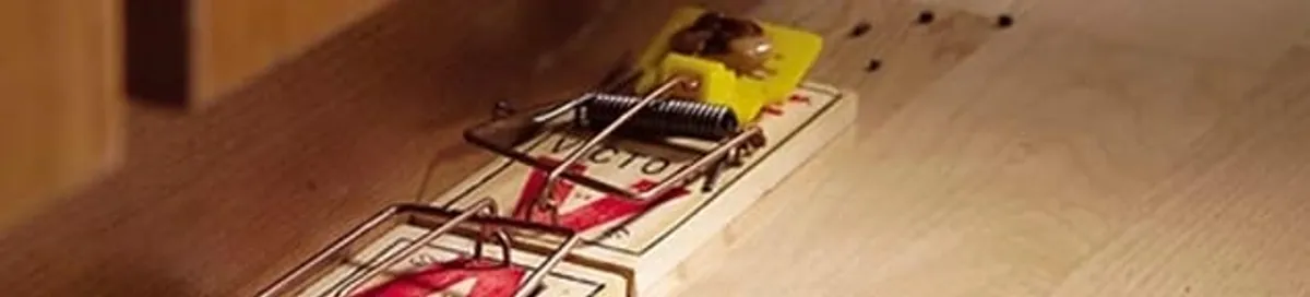 Rodent trap set indoors for rodent control and prevention in Bakersfield, CA