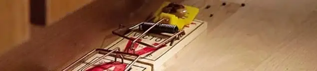 Rodent trap set indoors for rodent control and prevention in Bakersfield, CA