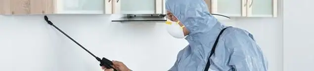 Termite treatment technician applying indoor pest control spray in Bakersfield, CA