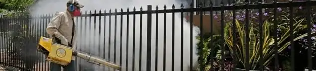 Mosquito control technician fogging a yard perimeter for mosquito reduction in Bakersfield, CA